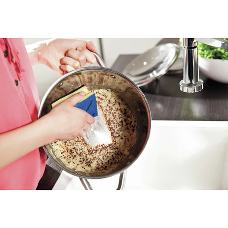 Vileda Glitzi Plus Topfreiniger 9er Multipack mit Antibac