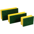 Floorstar Scheuerschwamm PADDY mit Griff - Hygienico